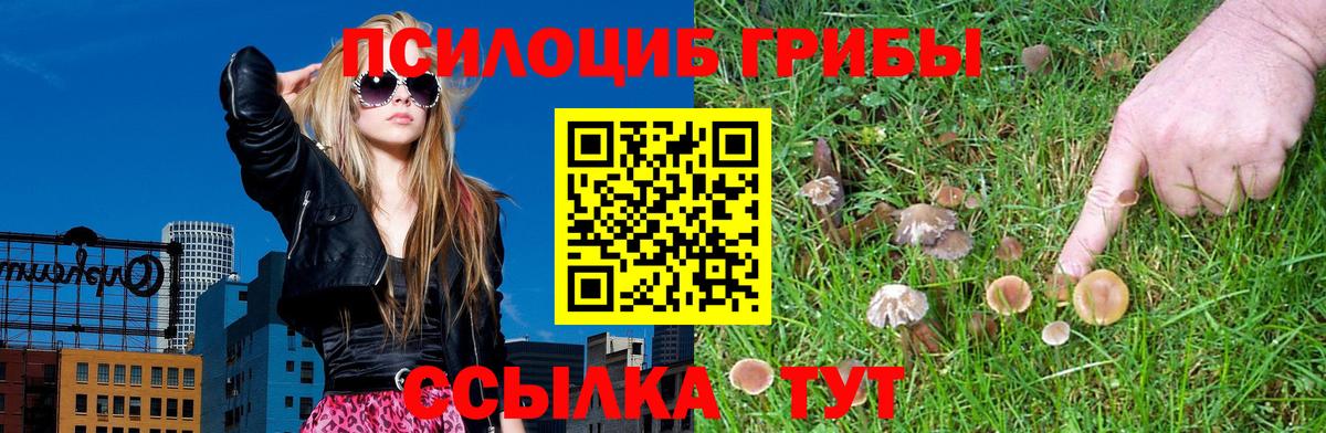 Галлюциногенные грибы GOLDEN TEACHER Рубцовск